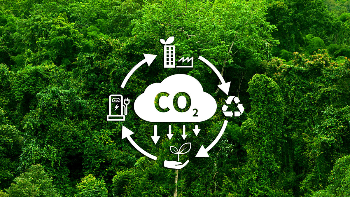 foret-arbres-co2-gaz-effet-serre-decarbonation-baisse-emissions-pictos-durable